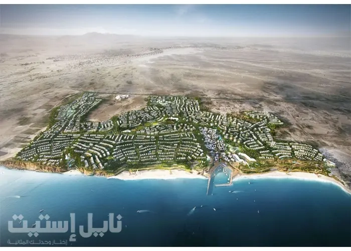 جيفيرا راس الحكمة